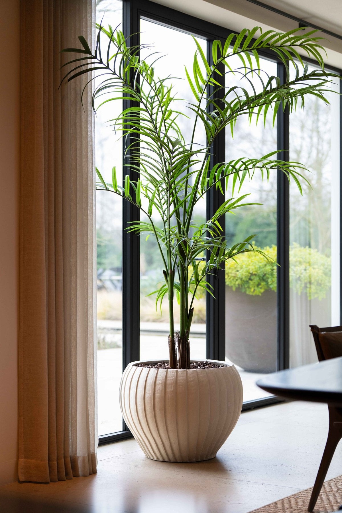 Kunst palm van 240 cm in een geribbelde cremekleurige pot voor een raam van vloer tot plafond