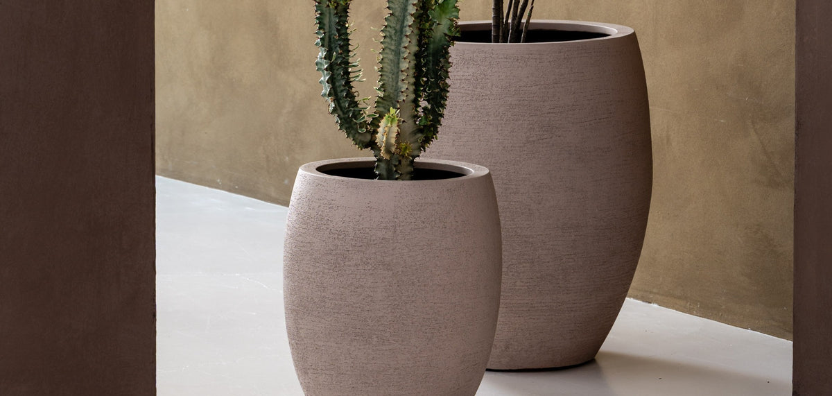 Twee terracotta potten met cactus en zijden plant onder een boogdoorgang
