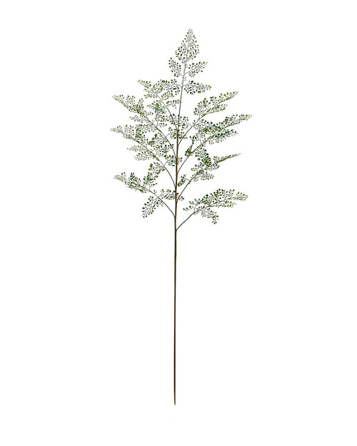 Zijden Adianthumtak 153cm