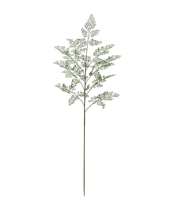Zijden Adianthumtak 153cm