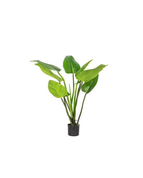 Zijden Alocasiaplant 90cm