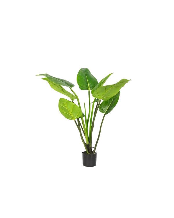 Zijden Alocasiaplant 90cm