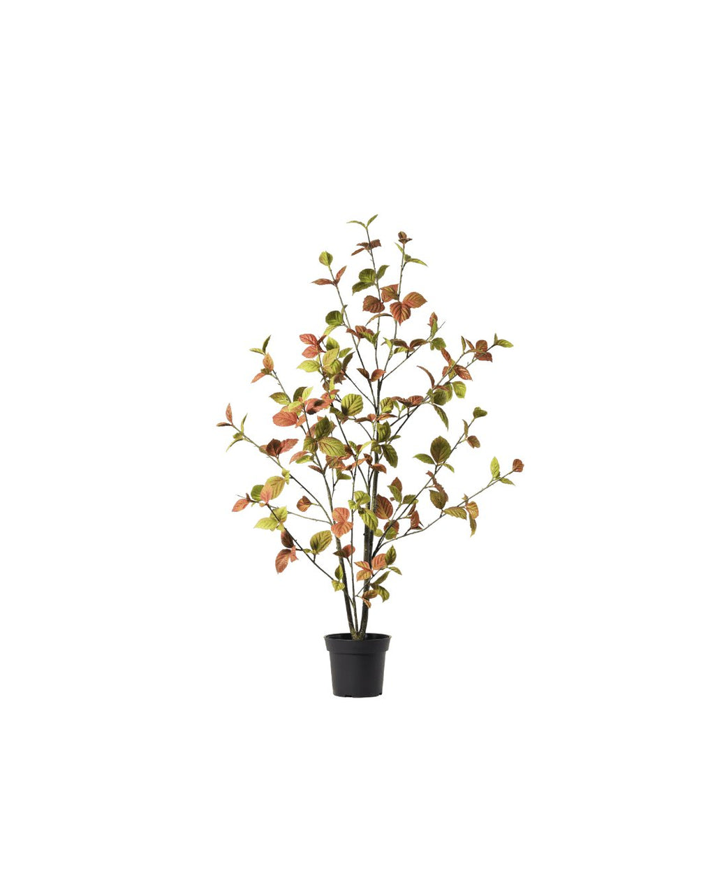 Zijden Beech leaf boom Classic 100cm