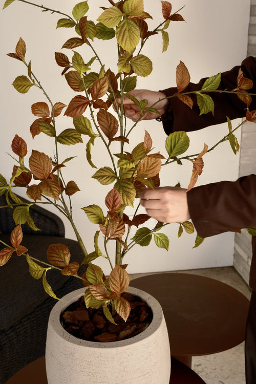 Zijden Beech leaf boom Classic 100cm - sfeerbeeld in interieur
