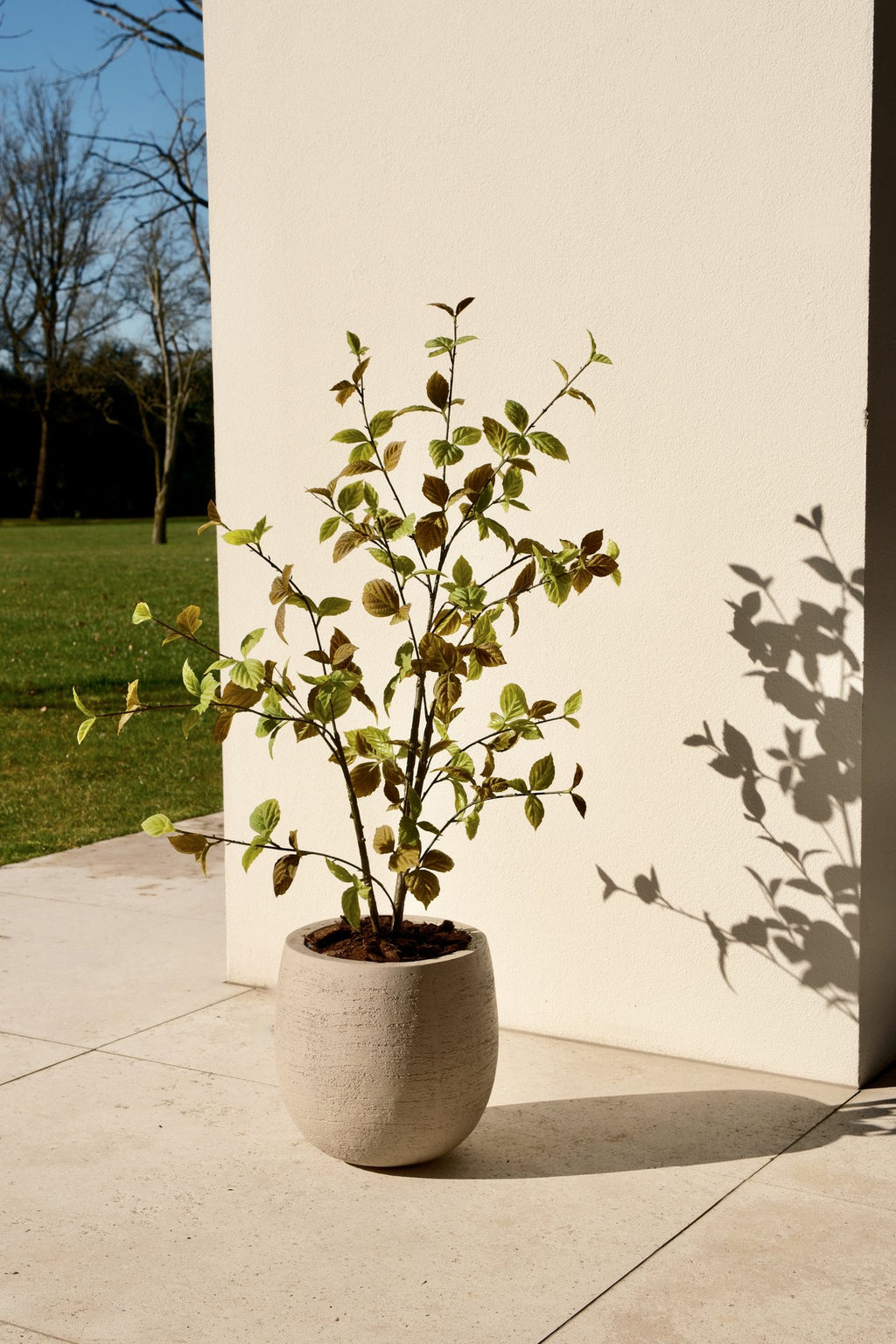 Zijden Beech leaf boom Natural 100cm - sfeerbeeld in interieur