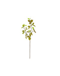 Zijden Beech leaf tak Natural 80cm