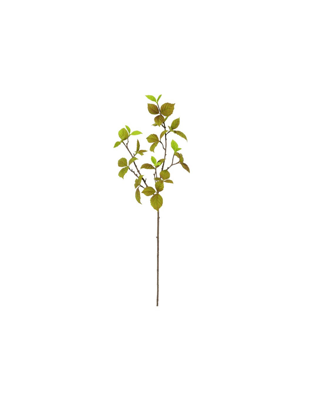 Zijden Beech leaf tak Natural 80cm