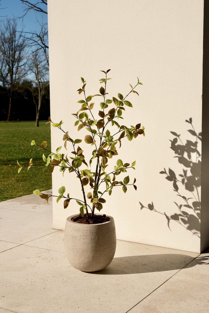 Zijden Beech leaf tak Natural 80cm - sfeerbeeld in interieur