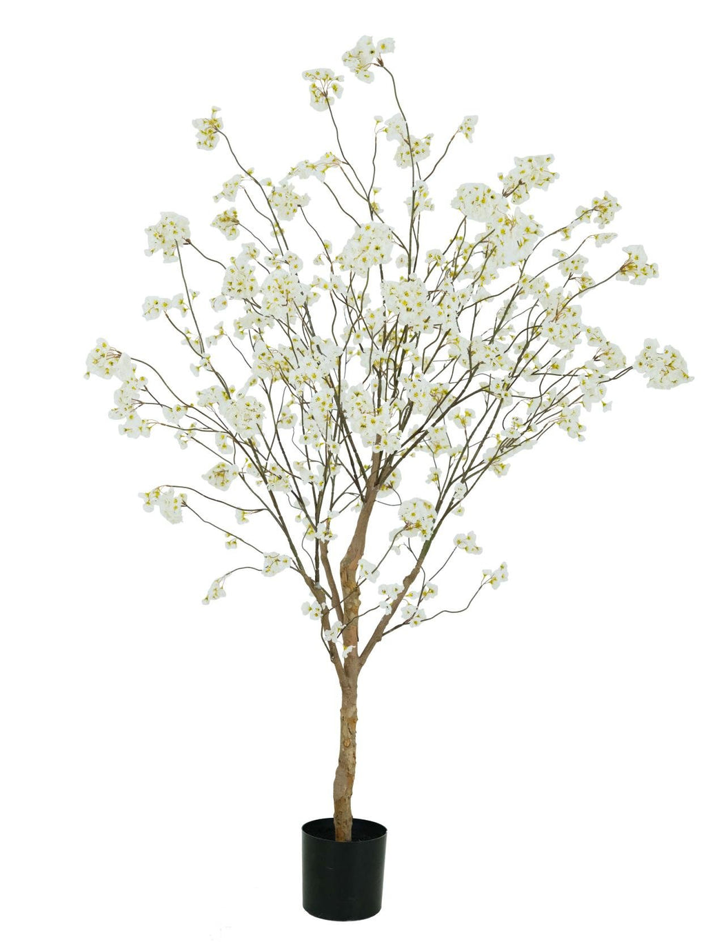 Zijden Bloesemboom Crème 180cm