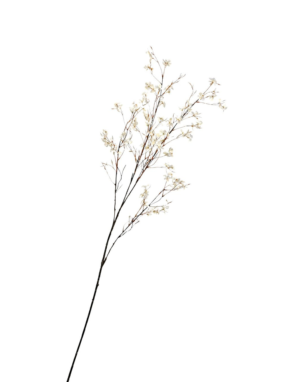 Zijden Bloesemtak Crème 132cm