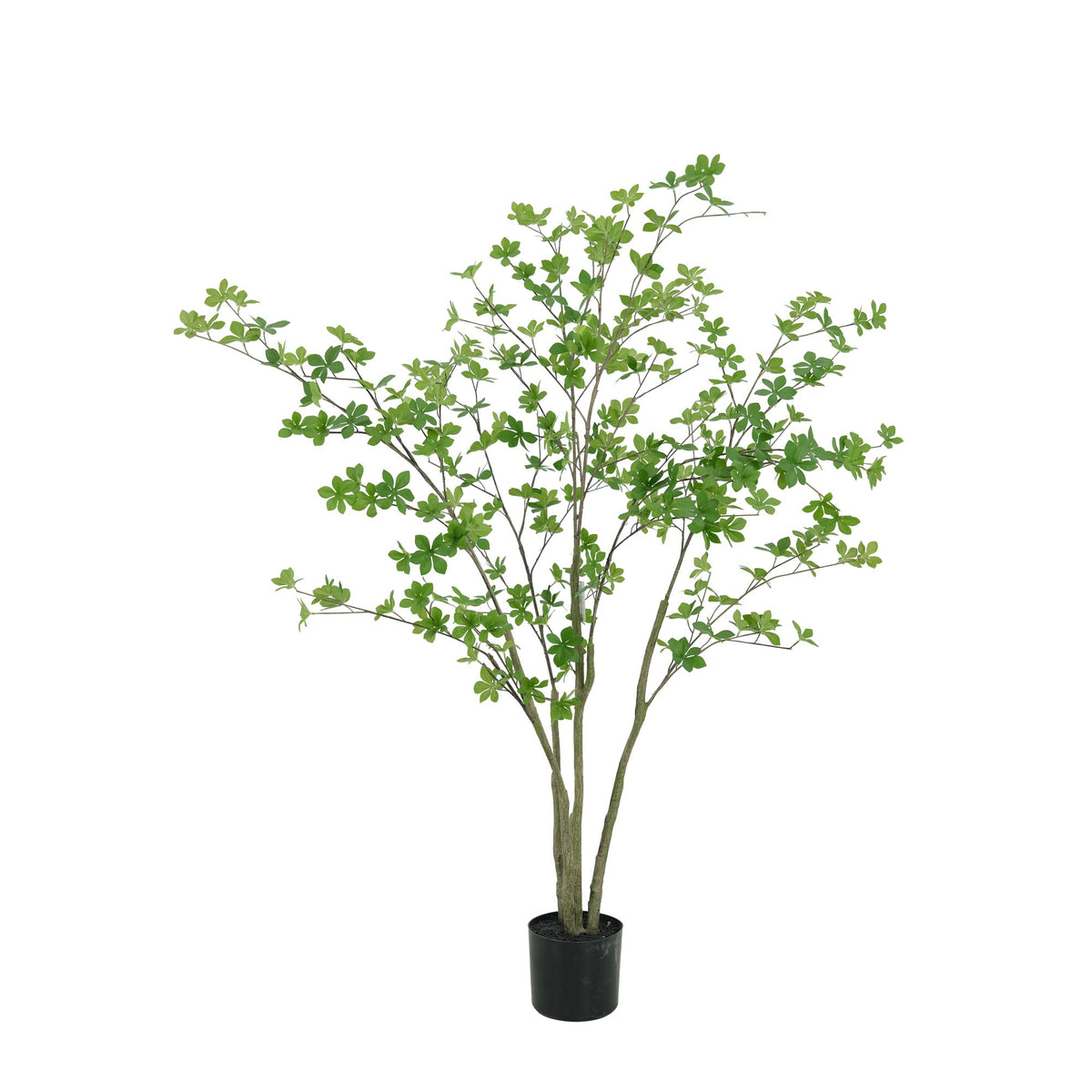Zijden Enkianthusboom 150cm