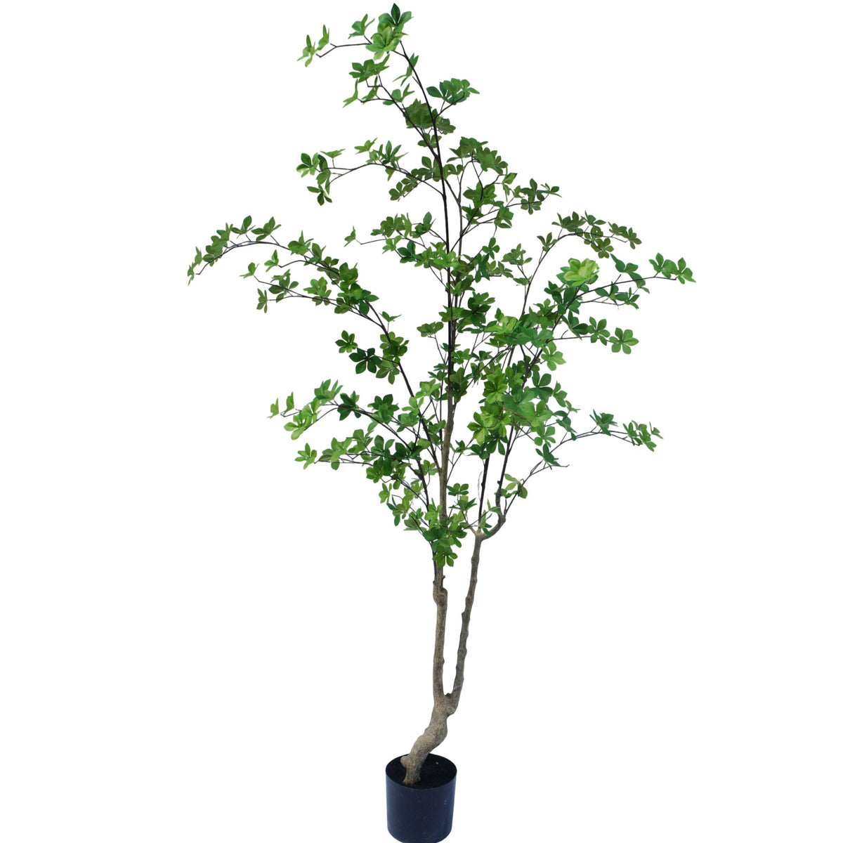 Zijden Enkianthusboom 180cm