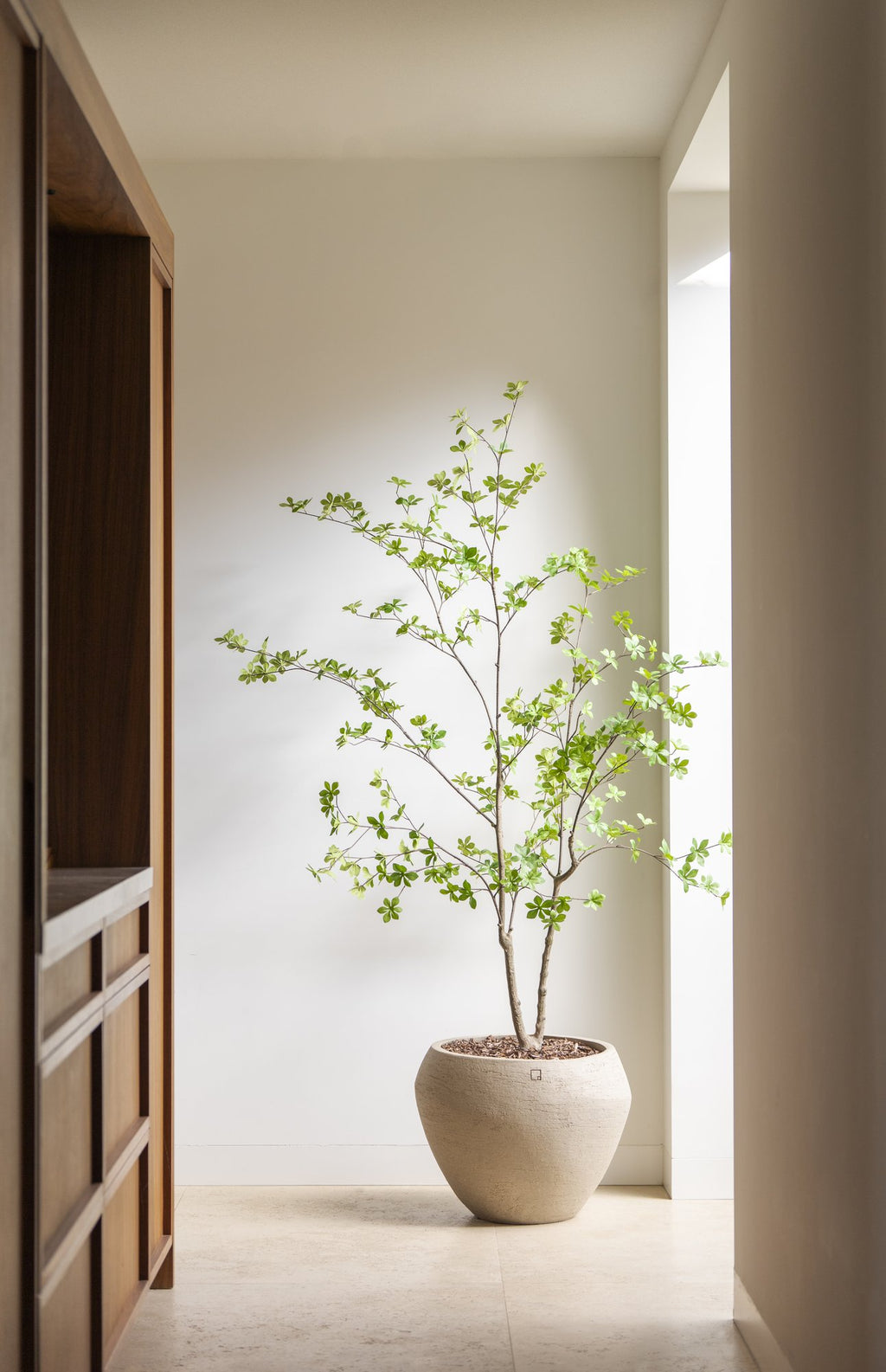 Zijden Enkianthusboom 180cm - sfeerbeeld in interieur