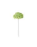 Zijden Hortensia Groen 75cm