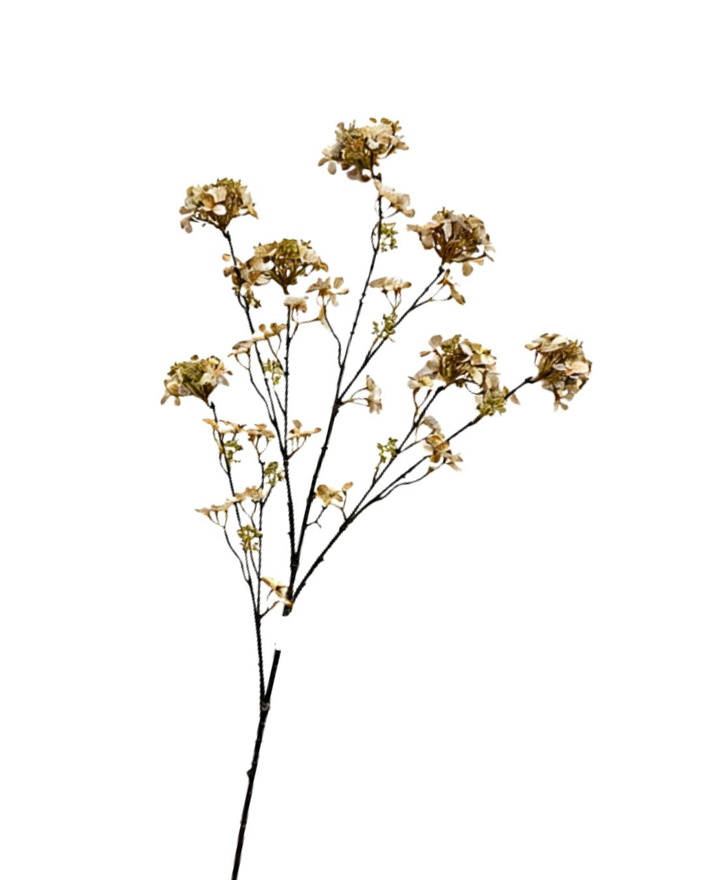 Zijden Hortensiatak Crème 109cm