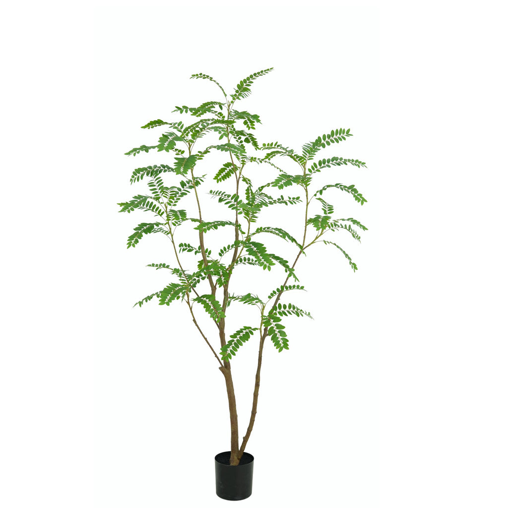 Zijden Mimosaboom 210cm