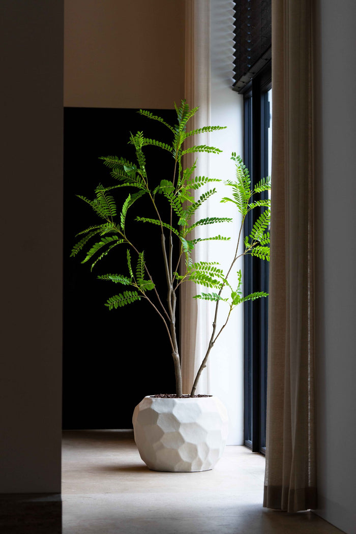 Zijden Mimosaboom 210cm - sfeerbeeld in interieur