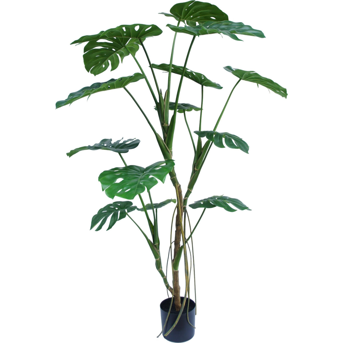 Zijden Monsteraboom 150cm