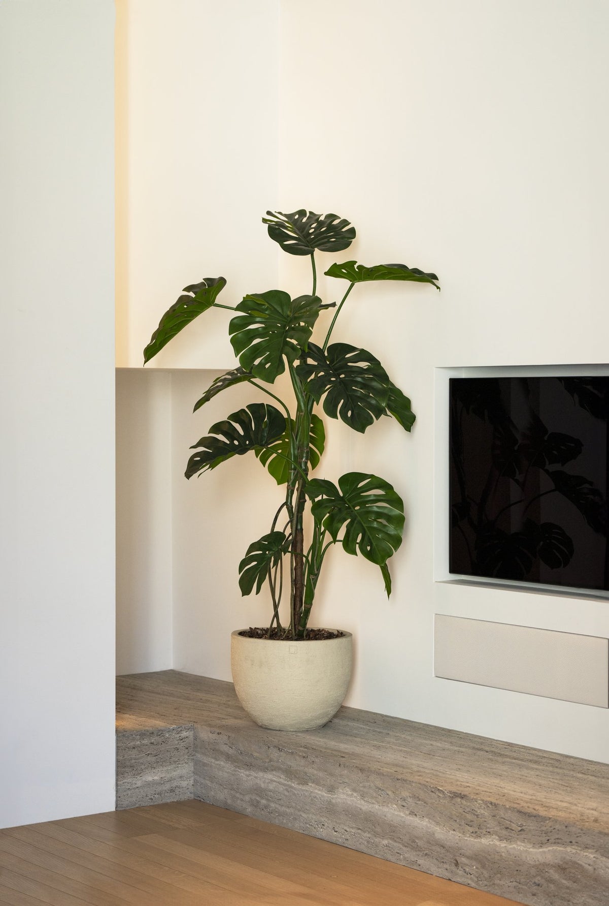 Zijden Monsteraboom 150cm - sfeerbeeld in interieur