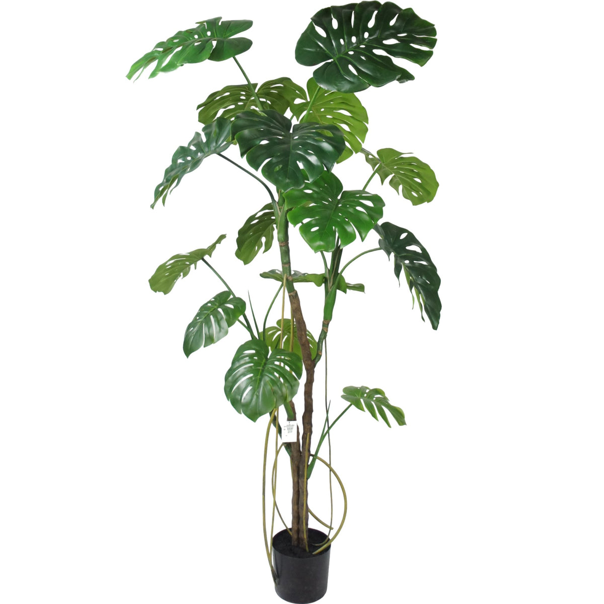 Zijden Monsteraboom 180cm