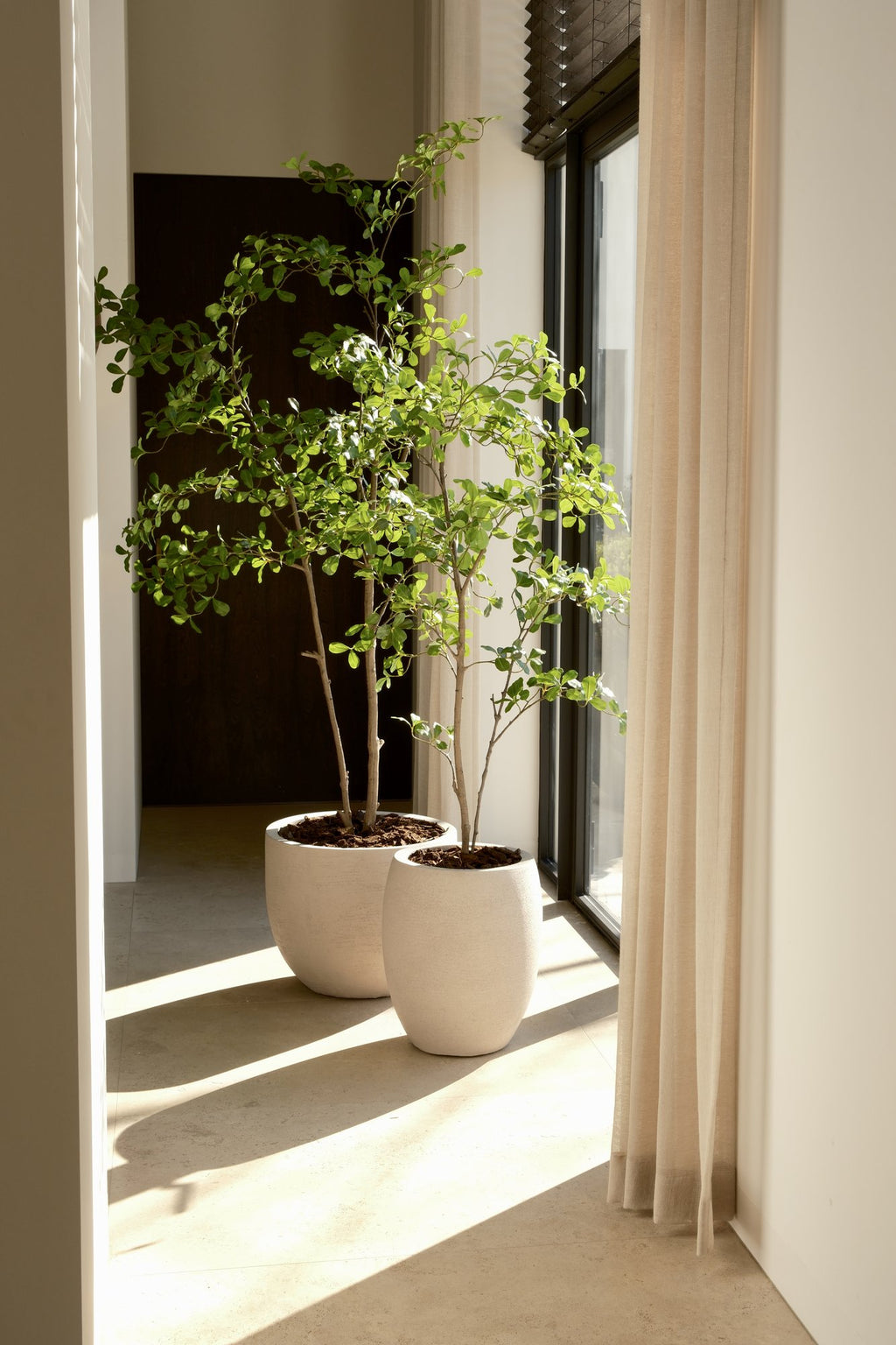 Zijden Moringaboom 150cm - sfeerbeeld in interieur