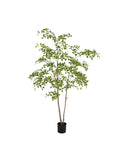 Zijden Moringaboom 210cm