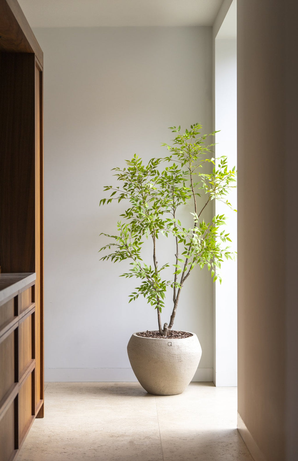 Zijden Nandinaboom 180cm - sfeerbeeld in interieur