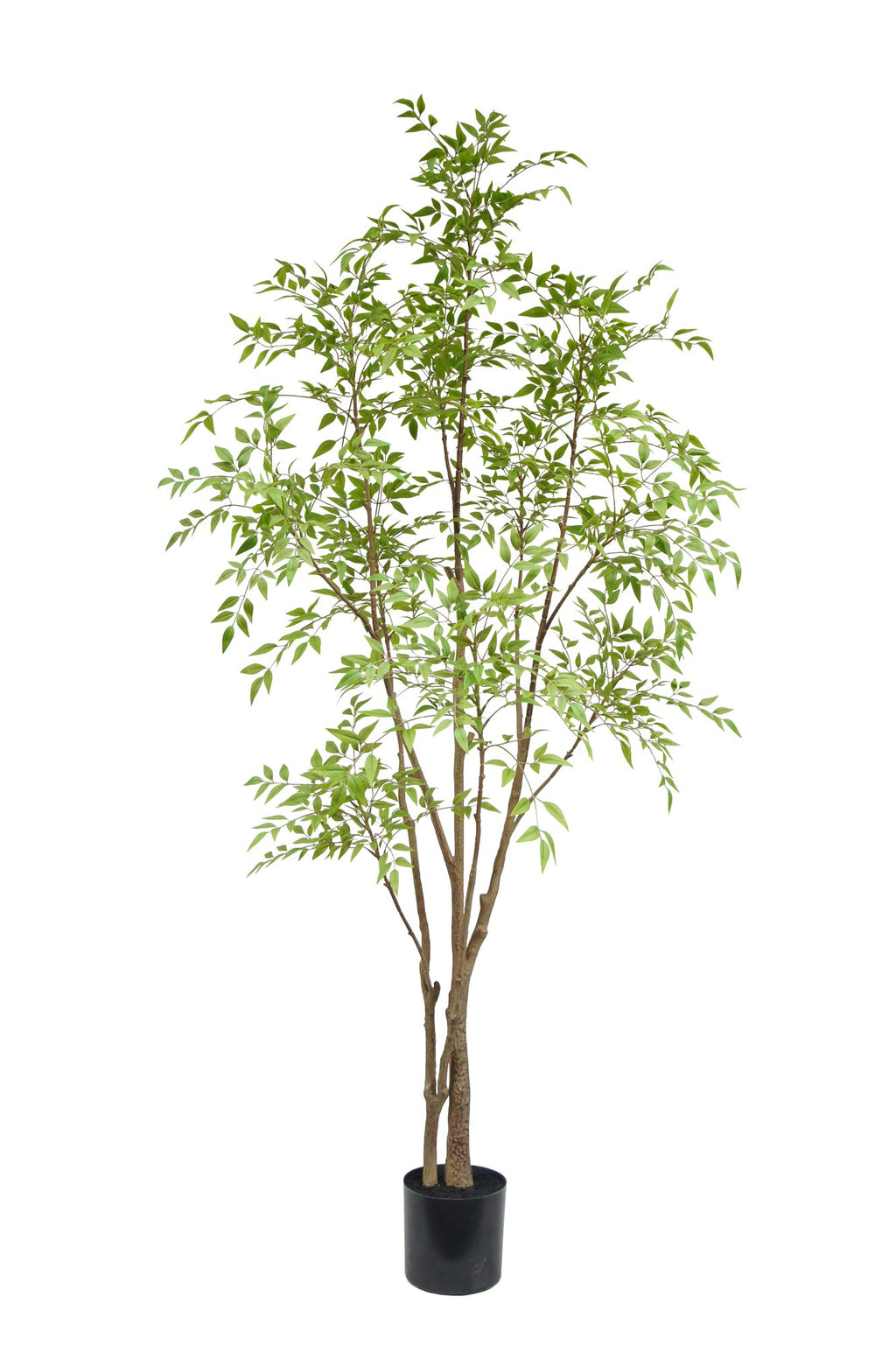 Zijden Nandinaboom 210cm