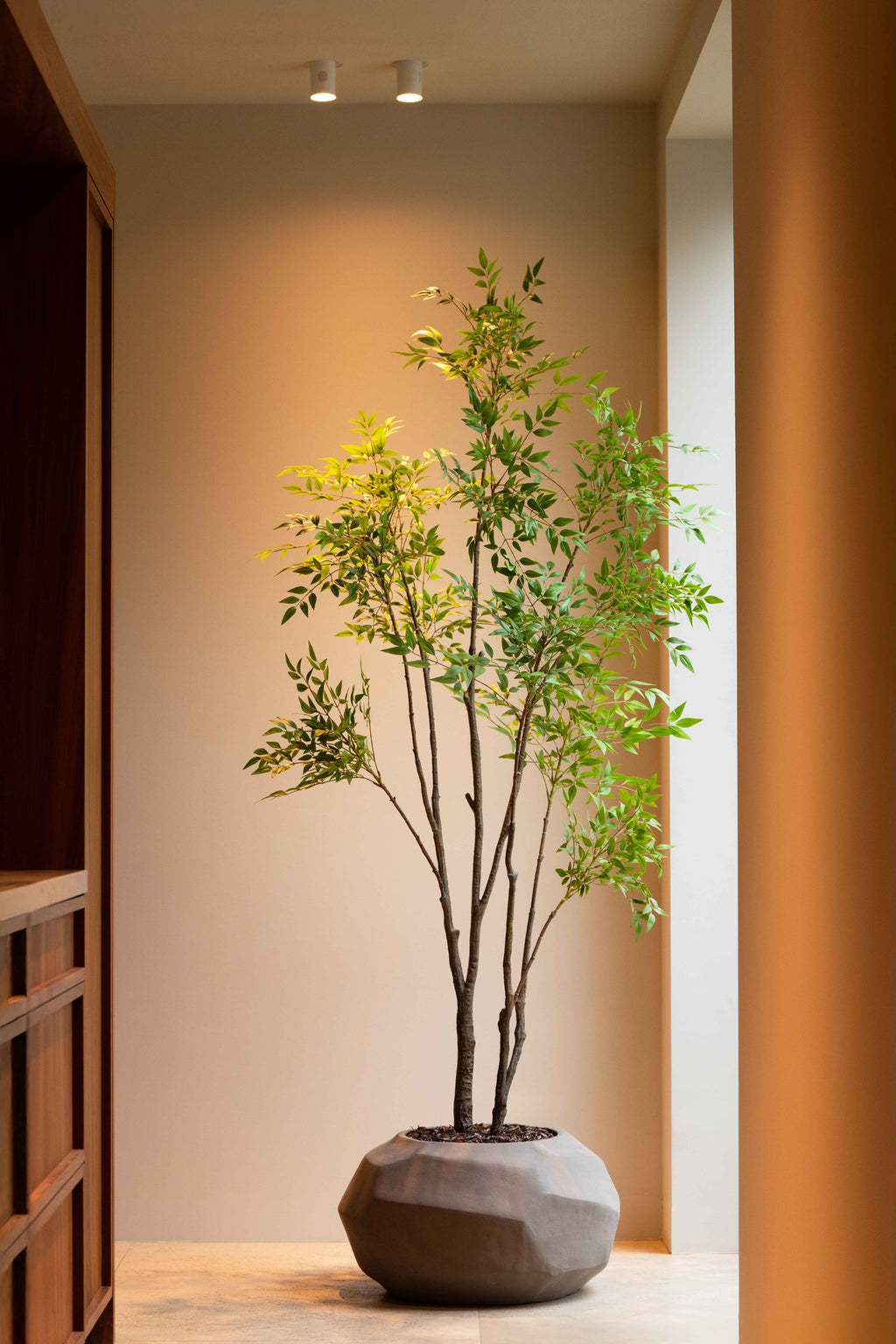 Zijden Nandinaboom 210cm - sfeerbeeld in interieur