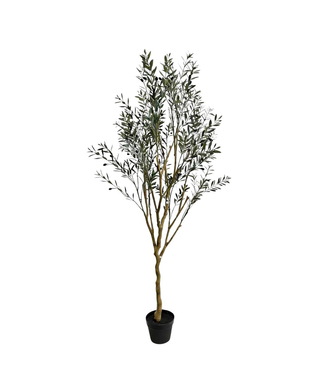 Zijden Olijfboom 170cm (UV)