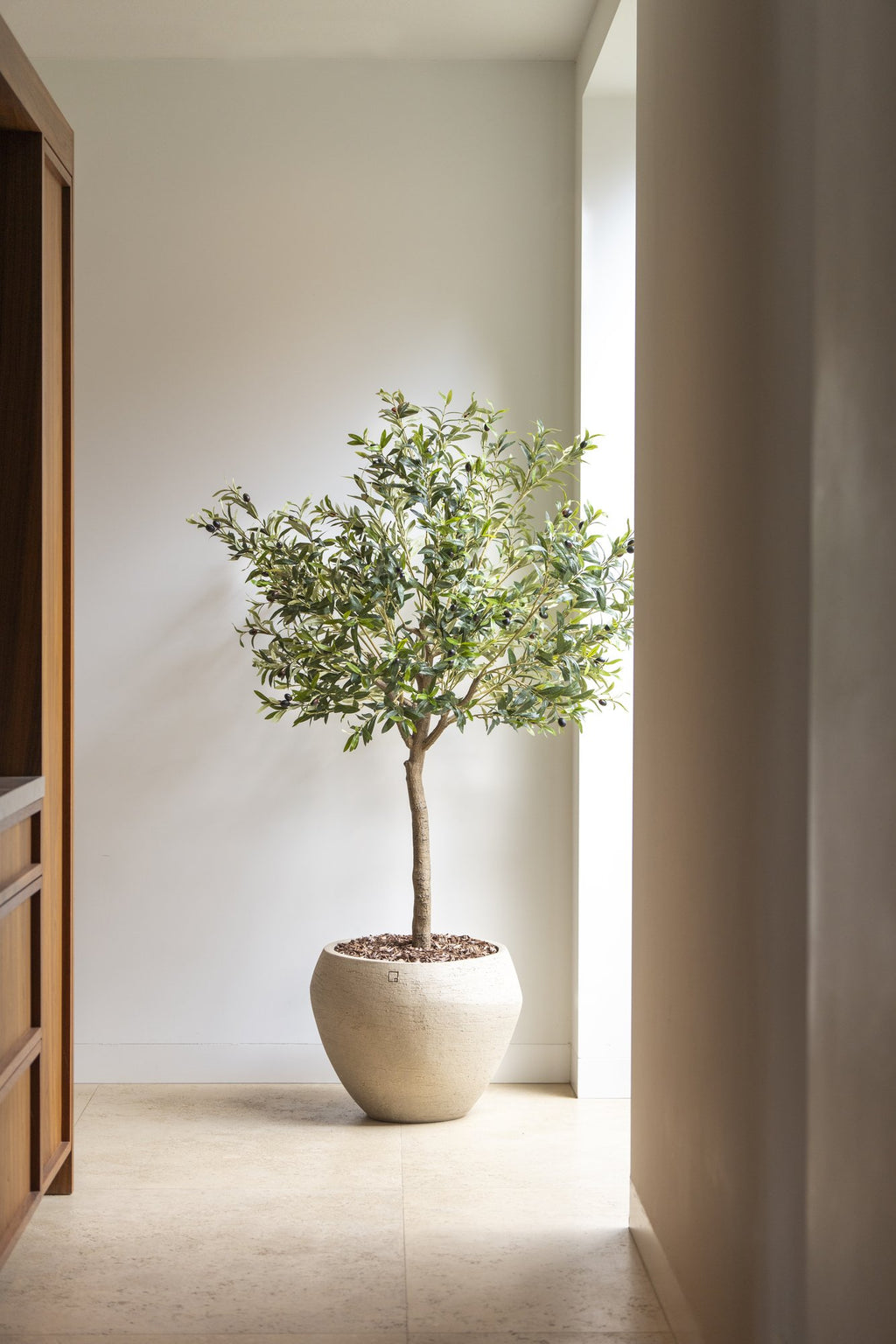 Zijden Olijfboom 180cm (2) - sfeerbeeld in interieur