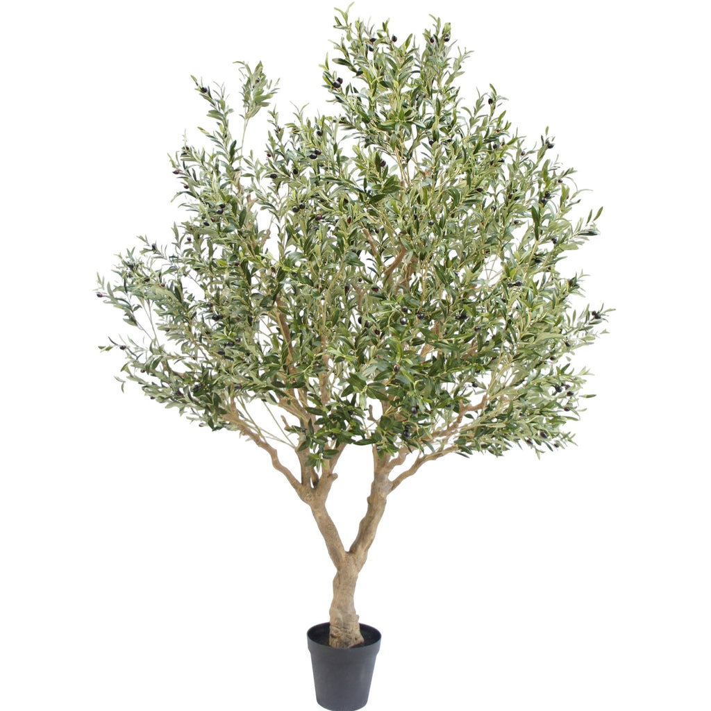 Zijden Olijfboom 250cm