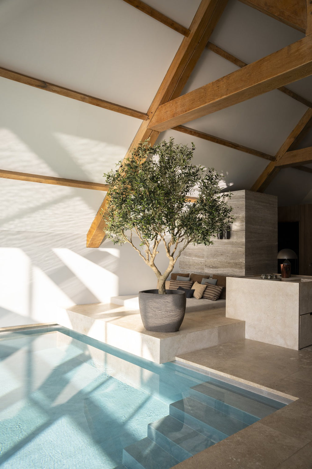 Zijden Olijfboom 250cm - sfeerbeeld in interieur