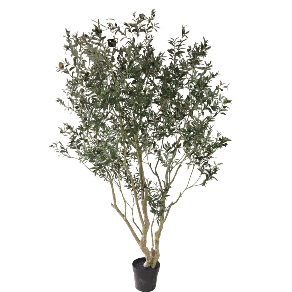 Zijden Olijfboom 260cm