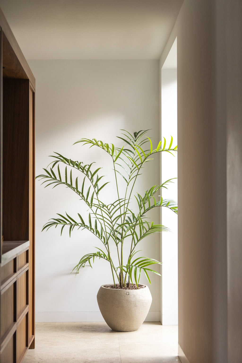 Zijden Palmplant 210cm - sfeerbeeld in interieur