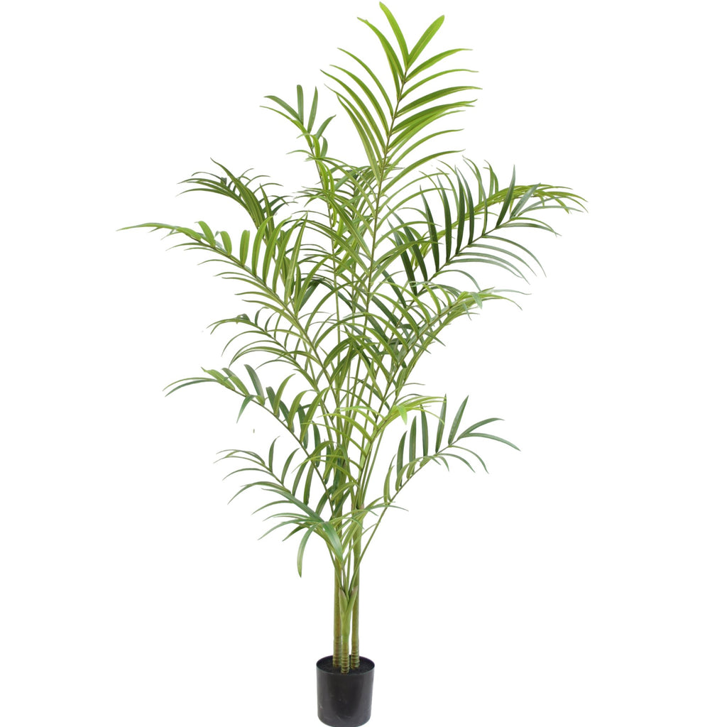 Zijden Palmplant 240cm