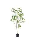 Zijden Pieris Japonica Boom 180cm