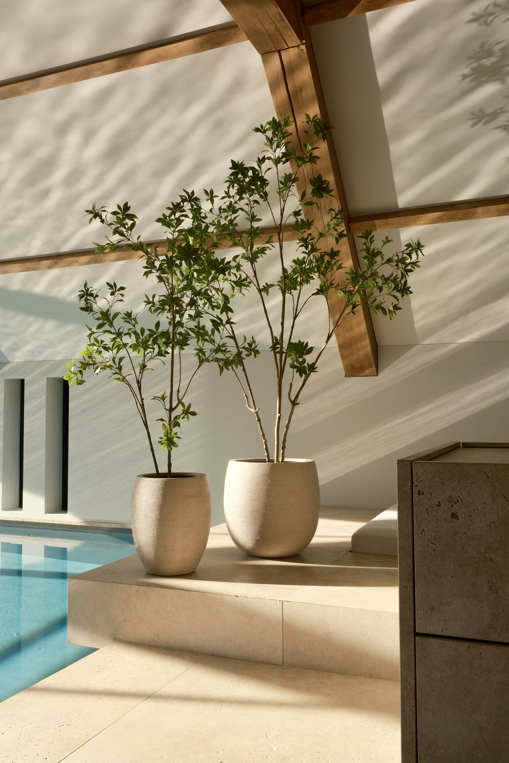 Zijden Pieris Japonica Boom 240cm - sfeerbeeld in interieur