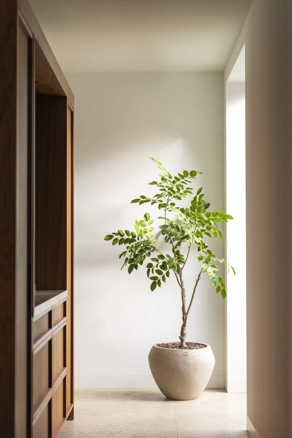 Zijden Sandelhoutboom 180cm - sfeerbeeld in interieur