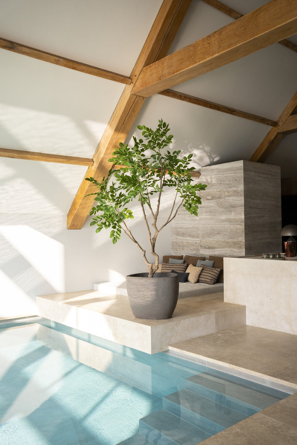 Zijden Sandelhoutboom 240cm - sfeerbeeld in interieur