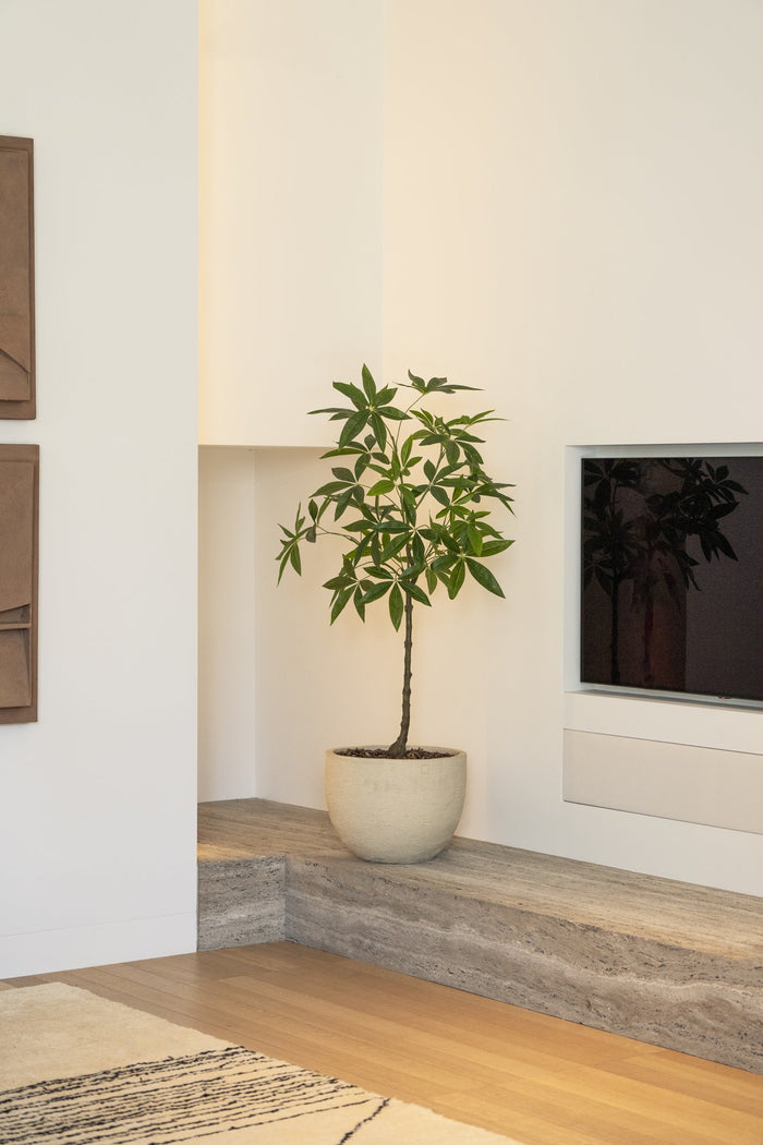 Zijden Scheffleraboom 120cm - sfeerbeeld in interieur