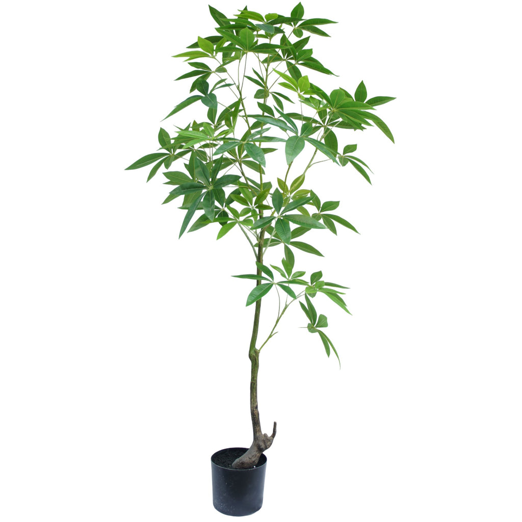 Zijden Scheffleraboom 150cm