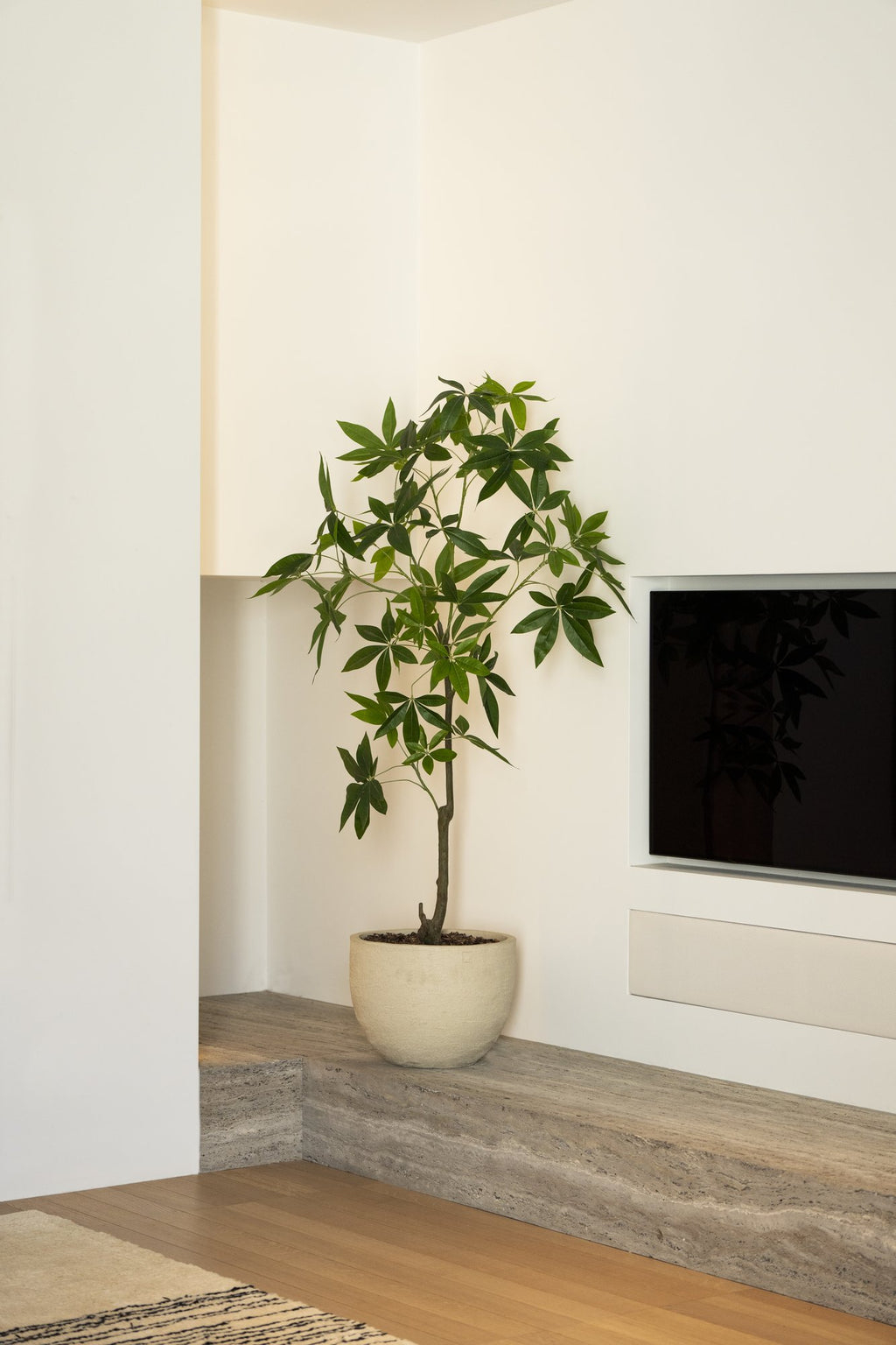 Zijden Scheffleraboom 150cm - sfeerbeeld in interieur