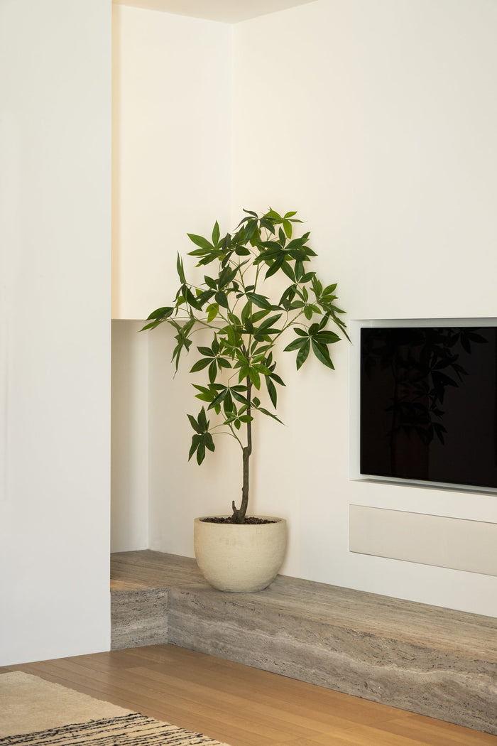Zijden Scheffleraboom 150cm - sfeerbeeld in interieur