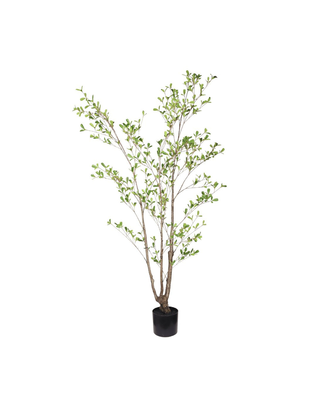 Zijden Serenbladboom 150cm
