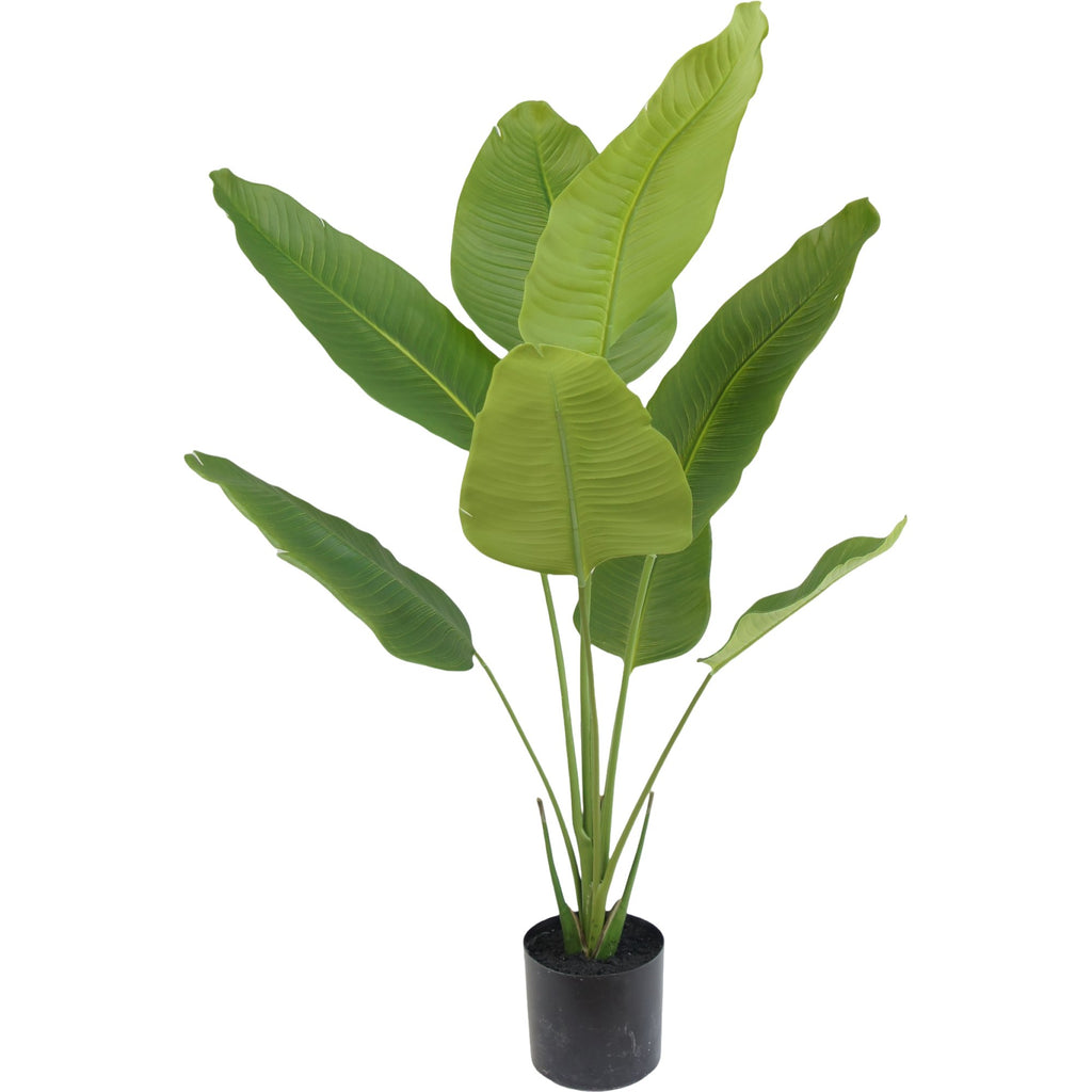 Zijden Strelitziaplant 120cm