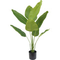 Zijden Strelitziaplant 120cm
