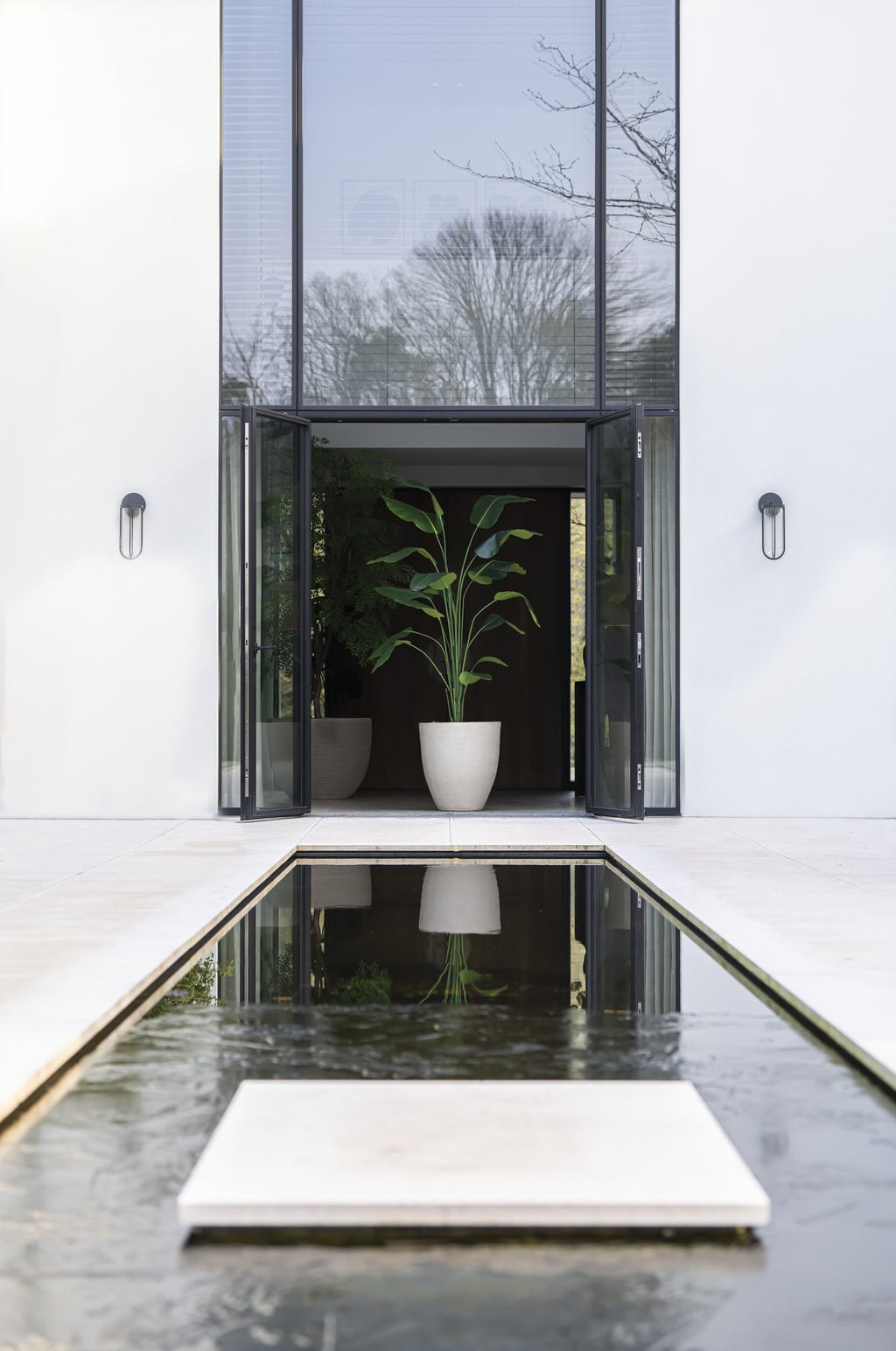 Zijden Strelitziaplant 210cm - sfeerbeeld in interieur