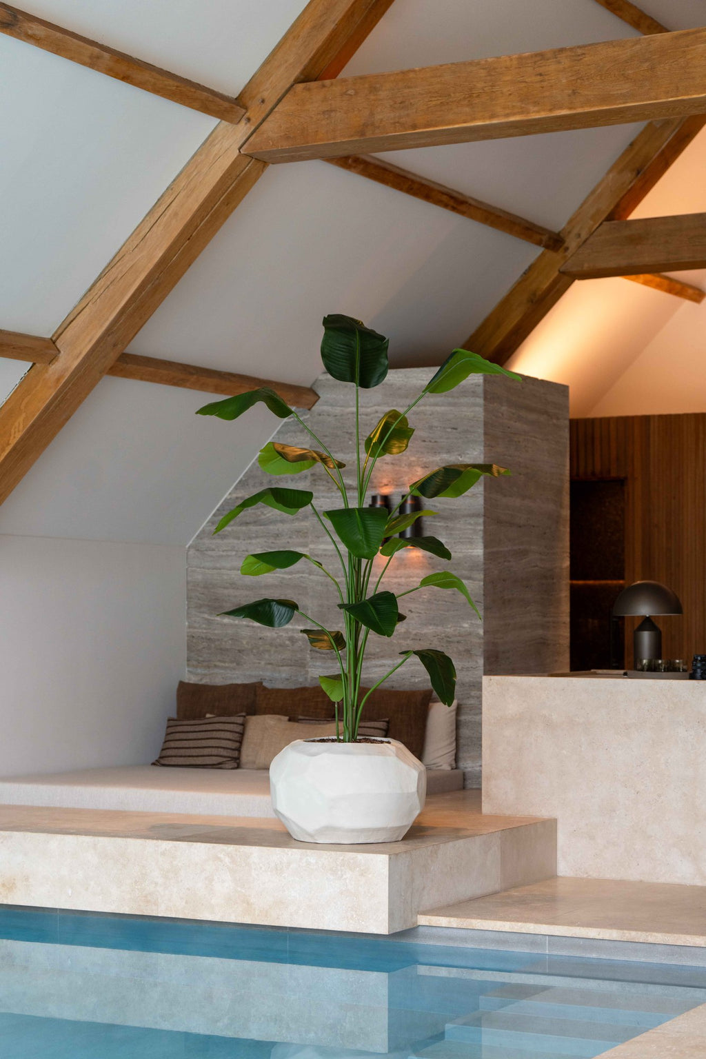 Zijden Strelitziaplant 240cm - sfeerbeeld in interieur