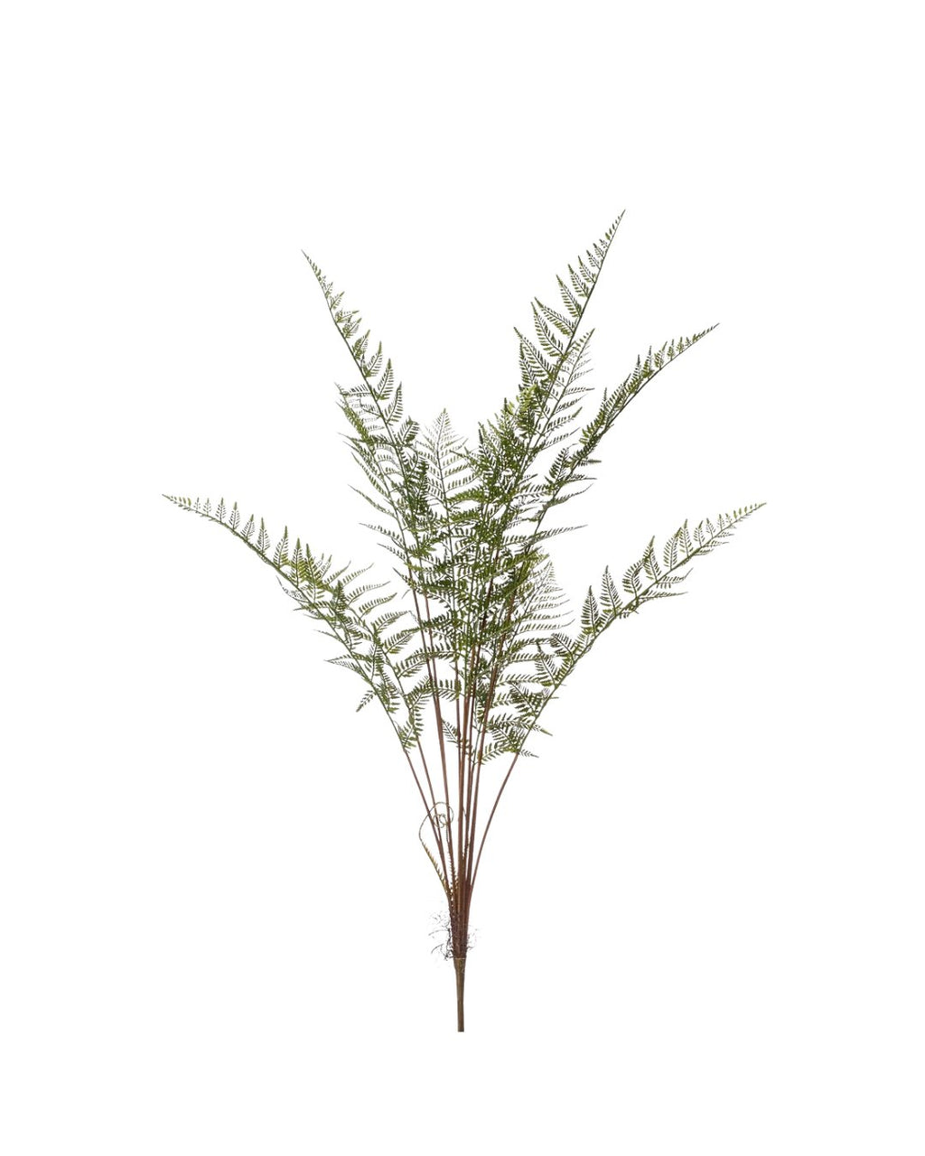 Zijden Varen bush 132cm